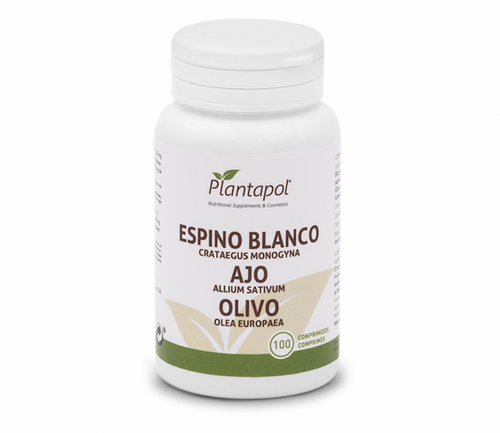 Espino Blanco Ajo Y Olivo